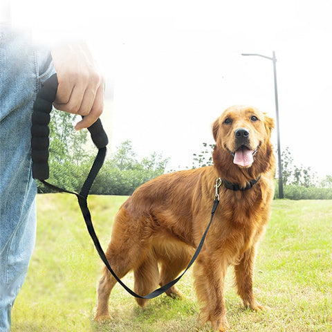 Dog Comfortable Leash Rope
