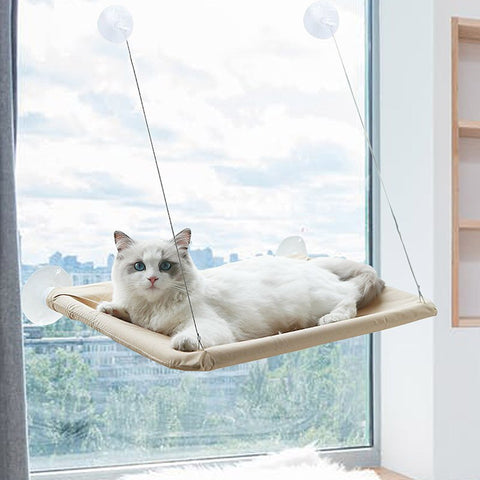 New Pets Window Shelves Beds