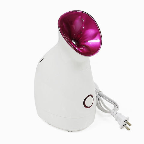 Electrical Facial Steamer