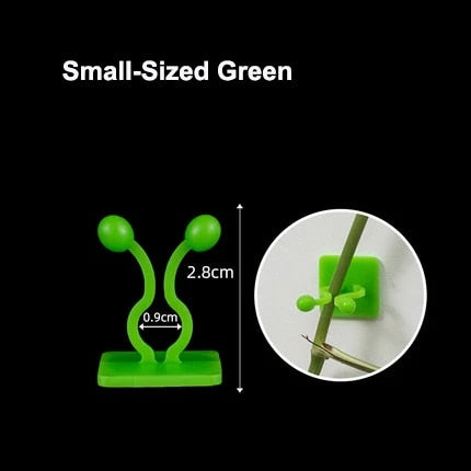Plant Climbing Wall Fixed Buckle Hook
