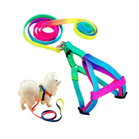 Cat Adjustable Rainbow Harness
