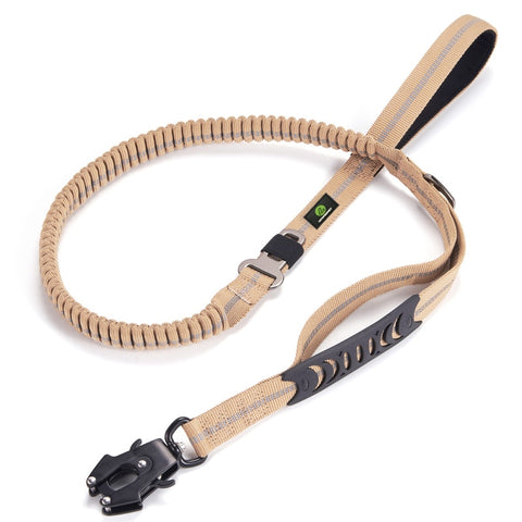 Dog Adjustable Training Collar