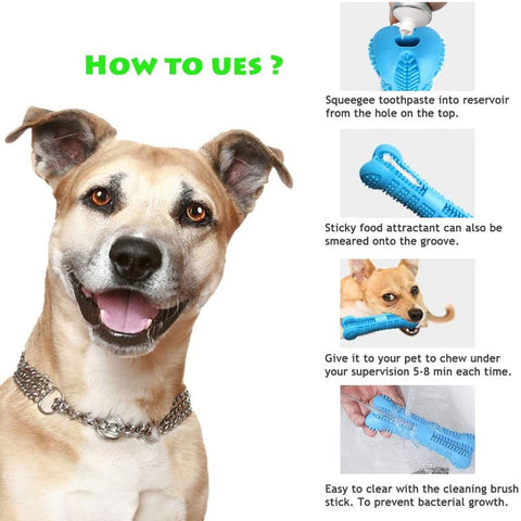 Dog Toothbrush Rubber Toy