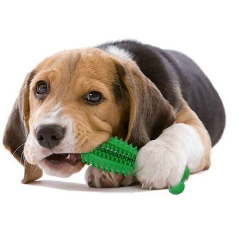 Dog Bone Chew Stick Toys