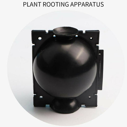 Plant Grafting Rooting Box