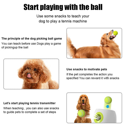 Dog Automatic Tennis ball Launcher Toy