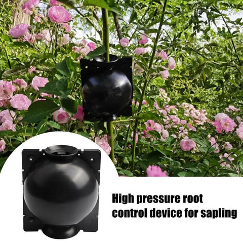 Plant Grafting Rooting Box