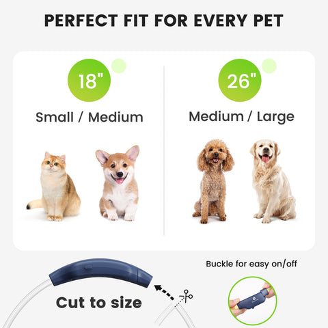 Dog LED Glowing Collar