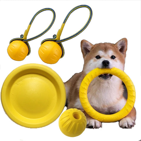 Dog Flying Disc & Ring Puller Toys