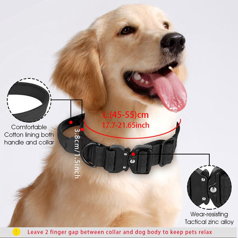 Dog Adjustable Training Collar