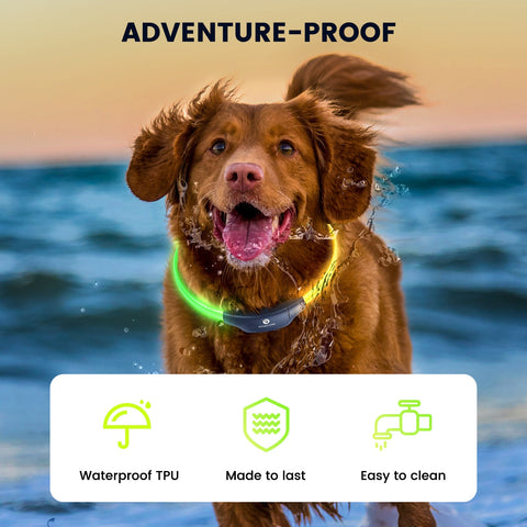 Dog LED Glowing Collar