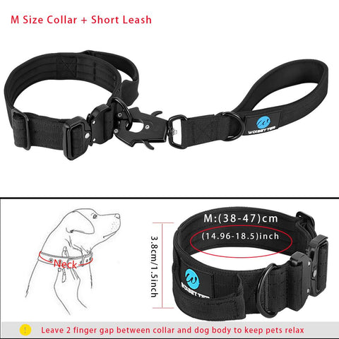 Dog Adjustable Training Collar