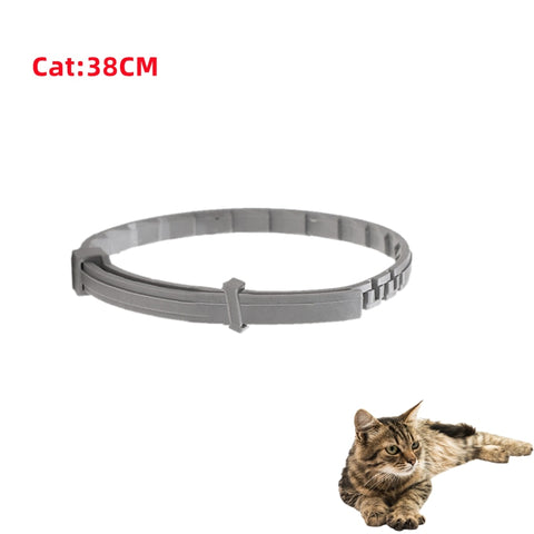 Cats Dog Anti Flea Collar