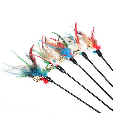 Cat Catcher Teaser Interactive Toys