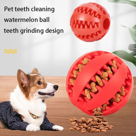 Pet Tooth Cleaning Food Ball