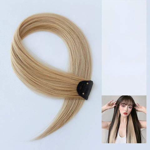 Long Straight Hanging Ear Wig Clip