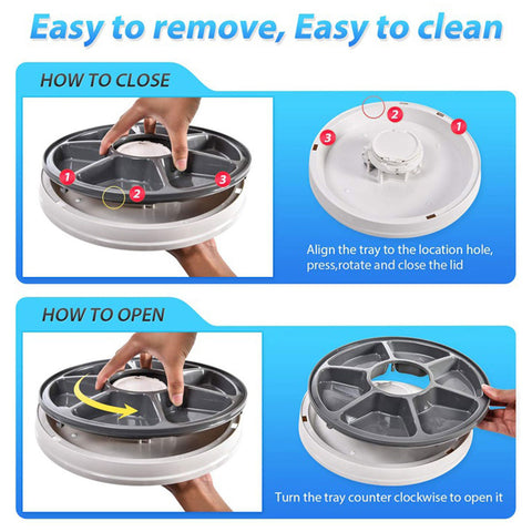 Dog Automatic 6 Grids Feeder