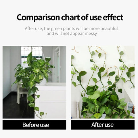 Plant Climbing Wall Fixed Buckle Hook