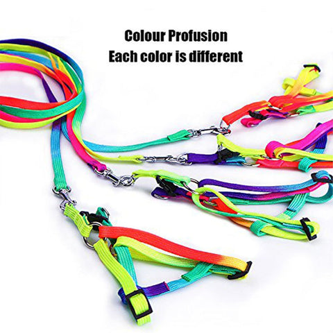 Cat Adjustable Rainbow Harness