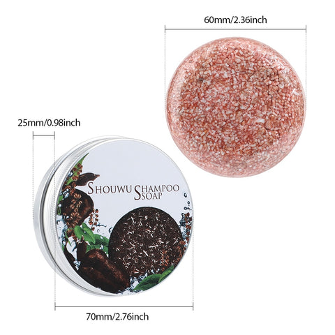 Polygonum Essence Hair Darkening Shampoo