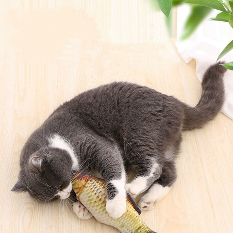 Cat 3d Fish Simulation Soft Plush Toy