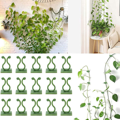Plant Climbing Wall Fixed Buckle Hook