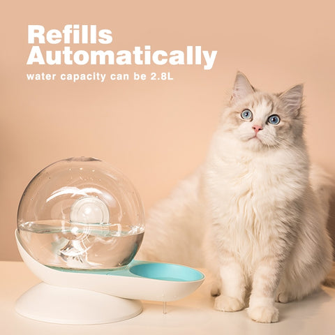 Snails Bubble Automatic Cat Water Bowl