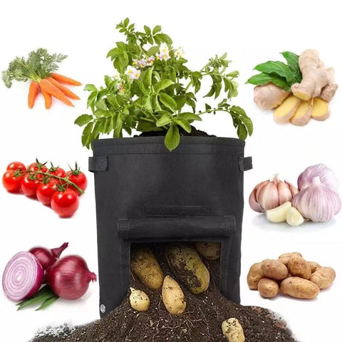 Potato Vegetable Planter Growing Bag