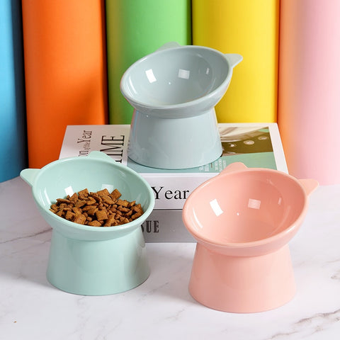 High Foot Dog Feeding Bowl