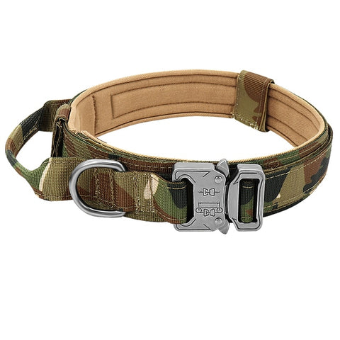 Dog Adjustable Collar