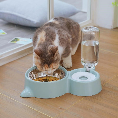 Cat Double Food Bowl