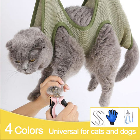 New Cat Grooming nail cutting