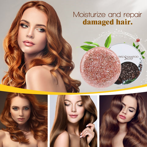 Polygonum Essence Hair Darkening Shampoo