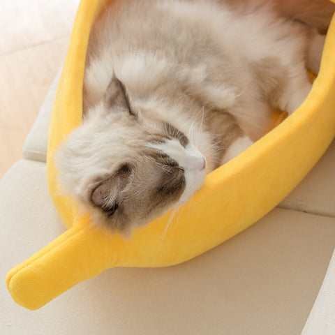 Cat Funny Banana Beds