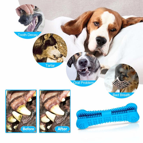Dog Toothbrush Rubber Toy
