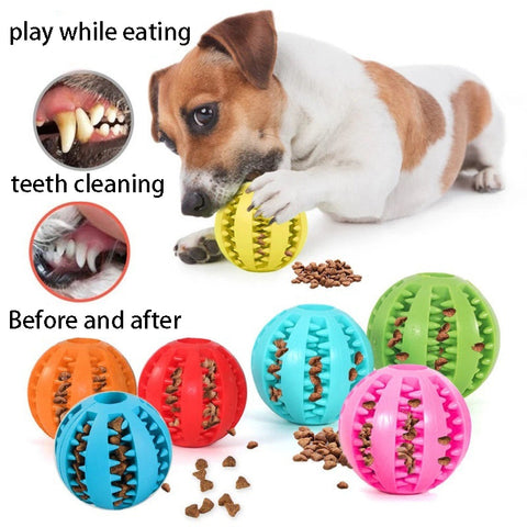Pet Tooth Cleaning Food Ball
