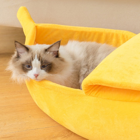 Cat Funny Banana Beds