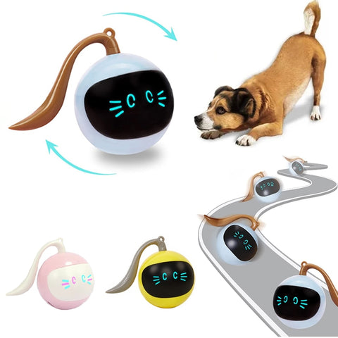 Electric Self Rotating Cat Ball Toys