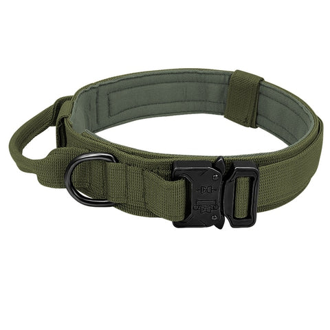 Dog Adjustable Collar