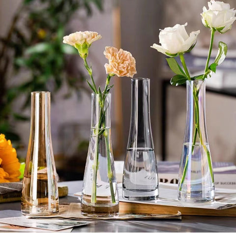 Transparent Glass Vases