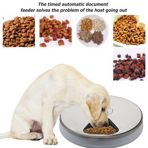 Dog Automatic 6 Grids Feeder
