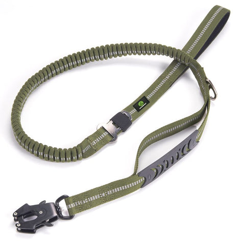 Dog Adjustable Training Collar