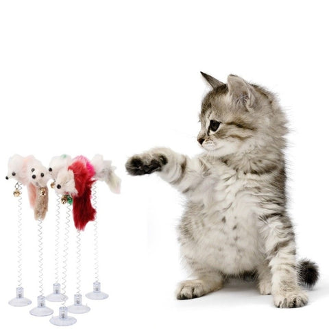 Cat Catcher Teaser Interactive Toys