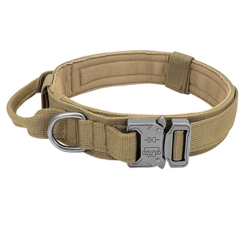 Dog Adjustable Collar