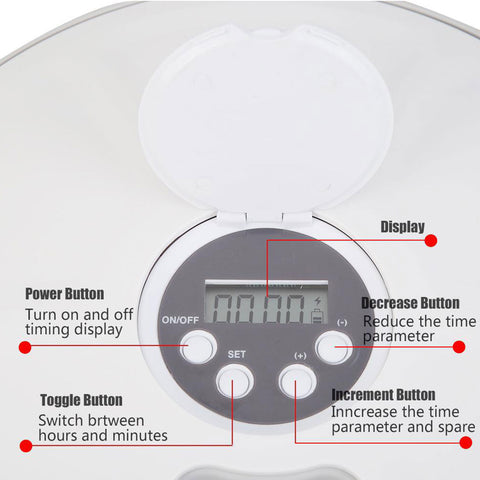 Dog Automatic 6 Grids Feeder