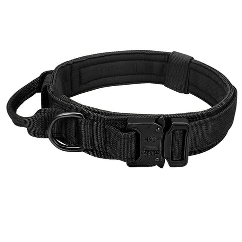 Dog Adjustable Collar