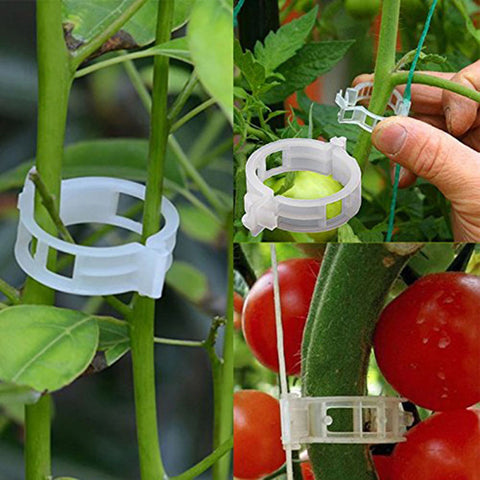 Garden Plant Plastic Clips